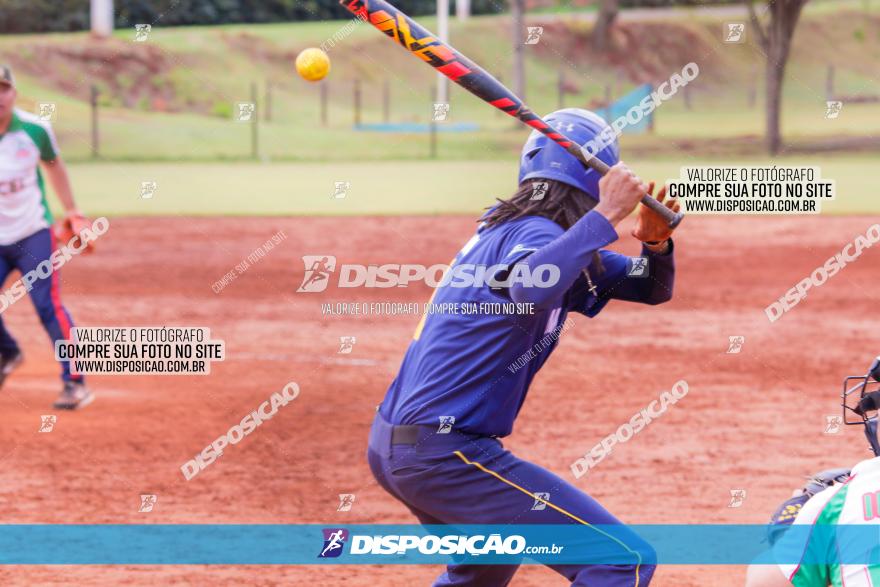 XXXII Brasileirão de Softbol