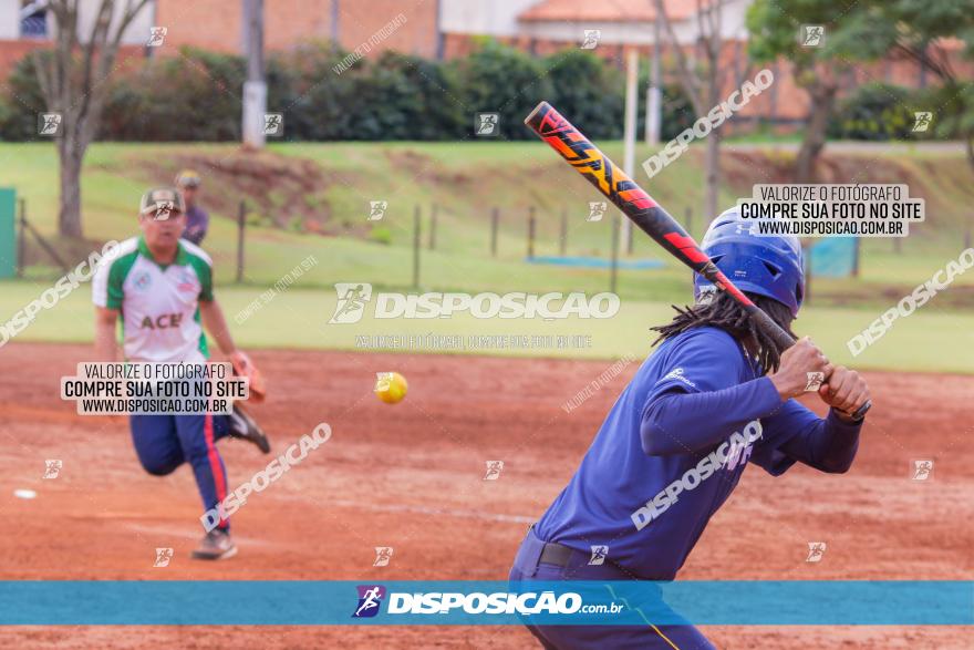 XXXII Brasileirão de Softbol