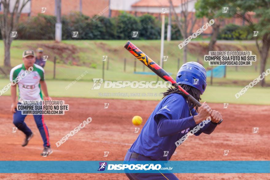 XXXII Brasileirão de Softbol