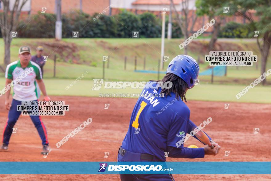 XXXII Brasileirão de Softbol