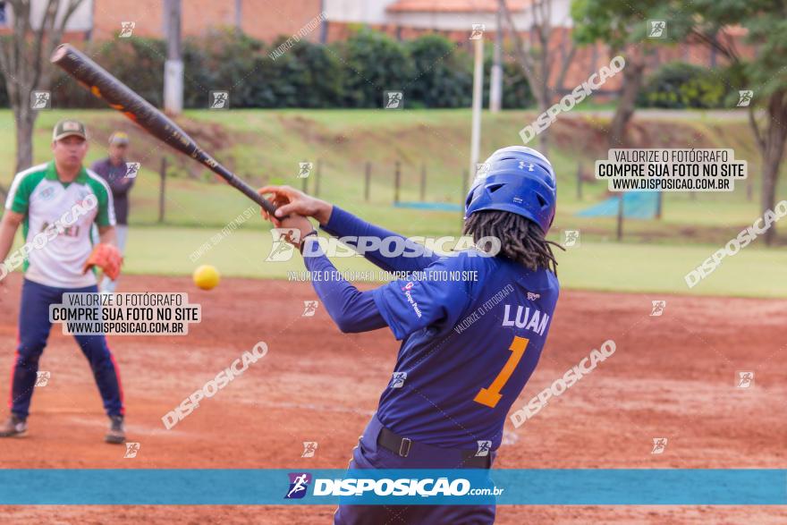 XXXII Brasileirão de Softbol