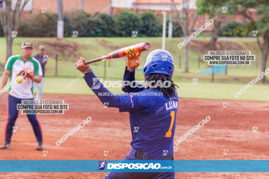 XXXII Brasileirão de Softbol