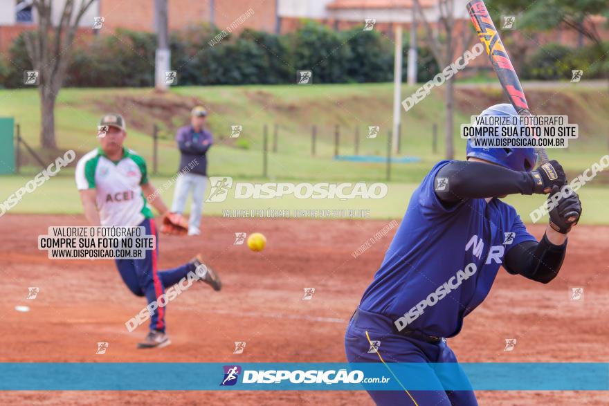 XXXII Brasileirão de Softbol