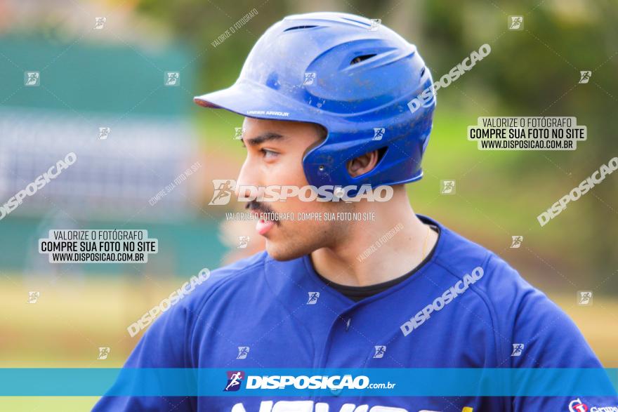 XXXII Brasileirão de Softbol