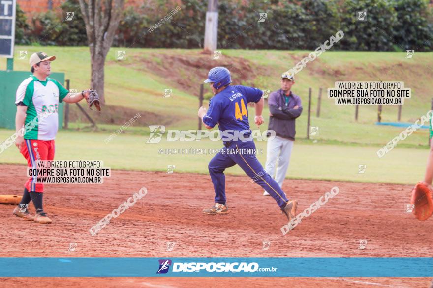 XXXII Brasileirão de Softbol