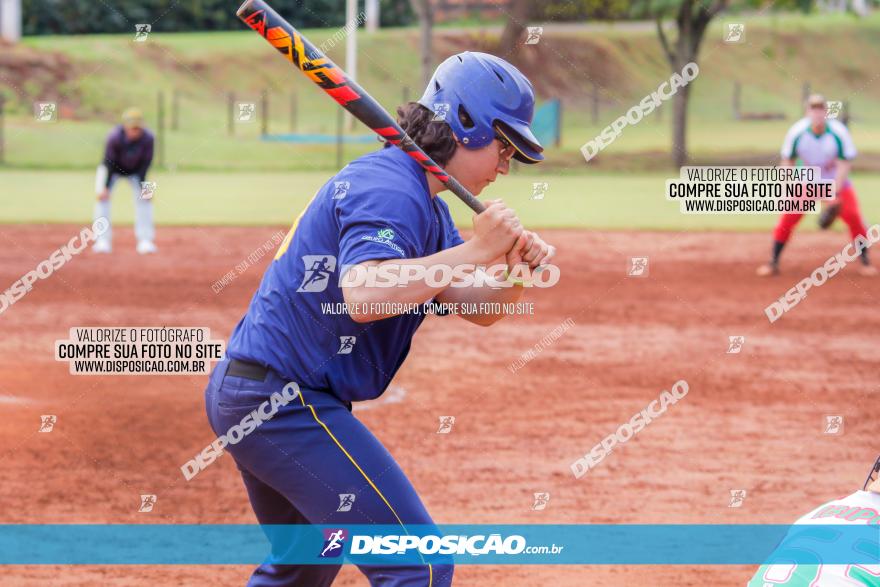 XXXII Brasileirão de Softbol