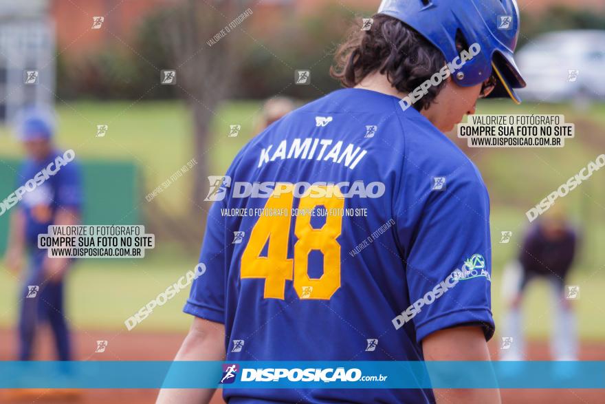 XXXII Brasileirão de Softbol