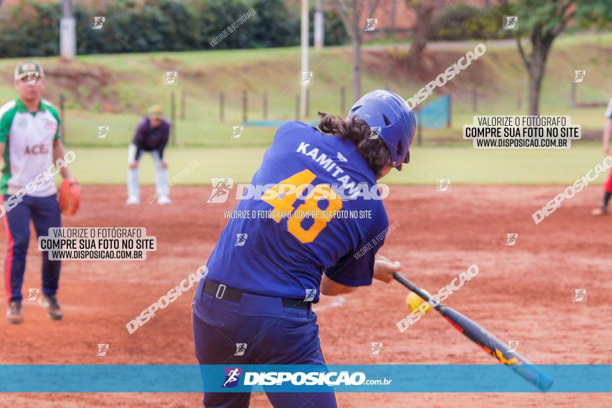 XXXII Brasileirão de Softbol