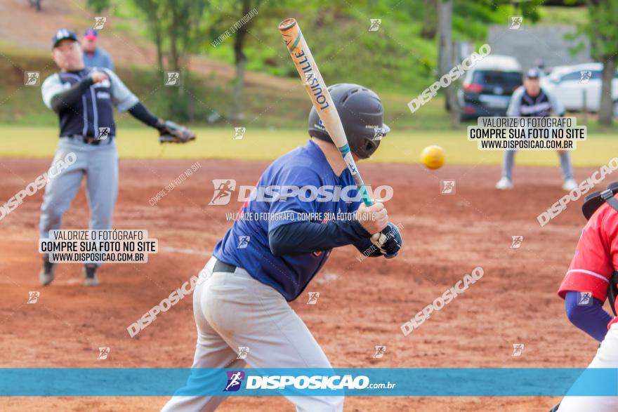 XXXII Brasileirão de Softbol