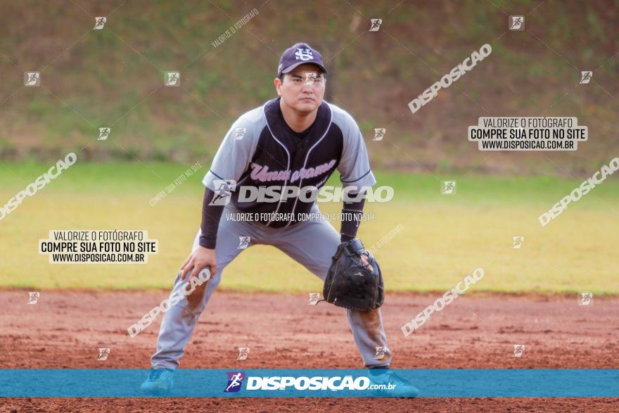 XXXII Brasileirão de Softbol