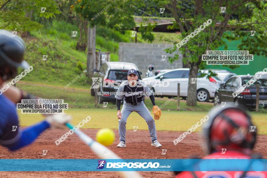 XXXII Brasileirão de Softbol