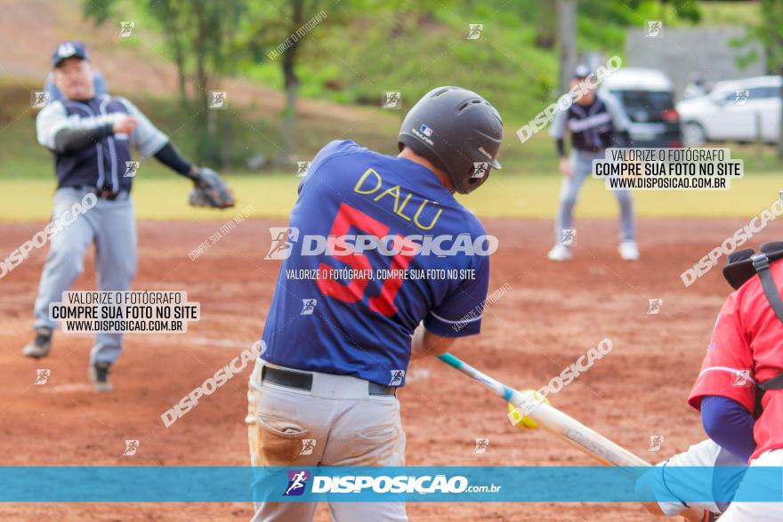 XXXII Brasileirão de Softbol