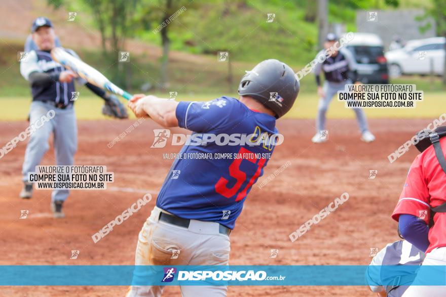 XXXII Brasileirão de Softbol