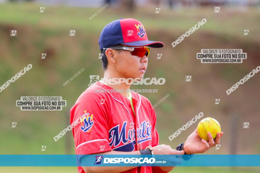 XXXII Brasileirão de Softbol