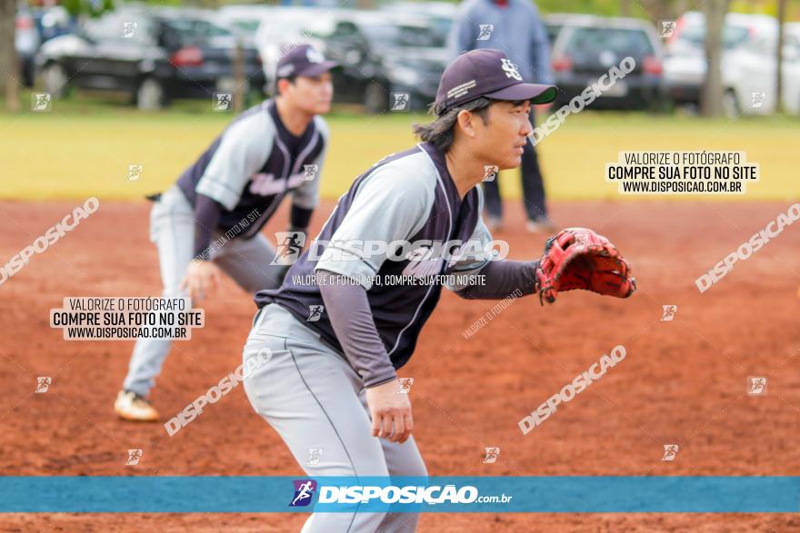 XXXII Brasileirão de Softbol