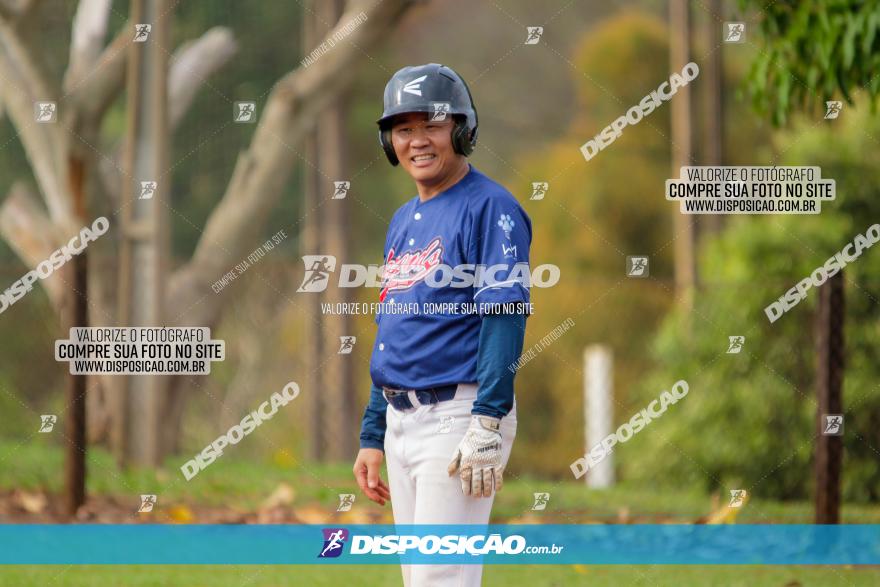 XXXII Brasileirão de Softbol