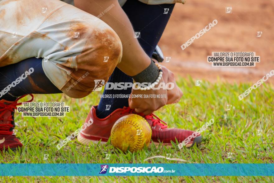 XXXII Brasileirão de Softbol