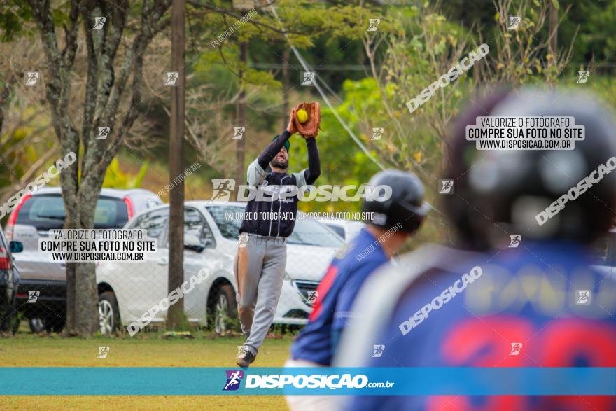 XXXII Brasileirão de Softbol