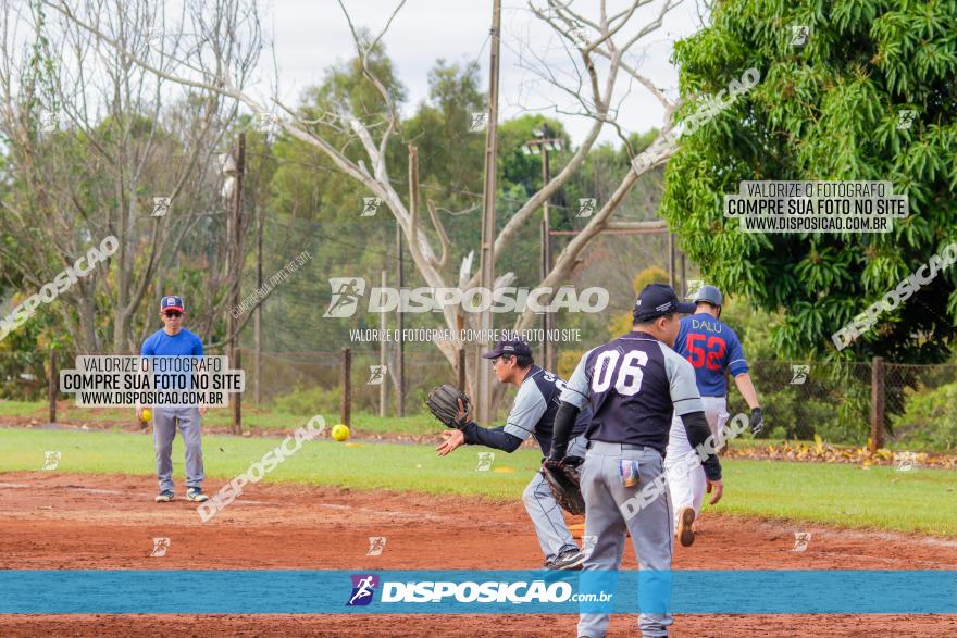 XXXII Brasileirão de Softbol