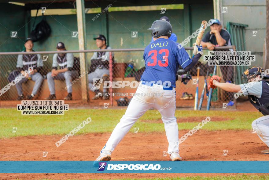 XXXII Brasileirão de Softbol