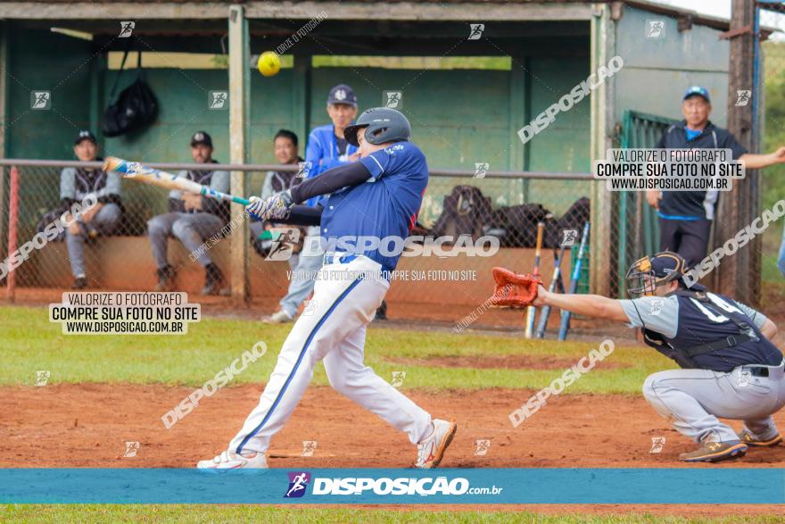 XXXII Brasileirão de Softbol