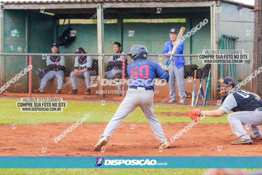 XXXII Brasileirão de Softbol