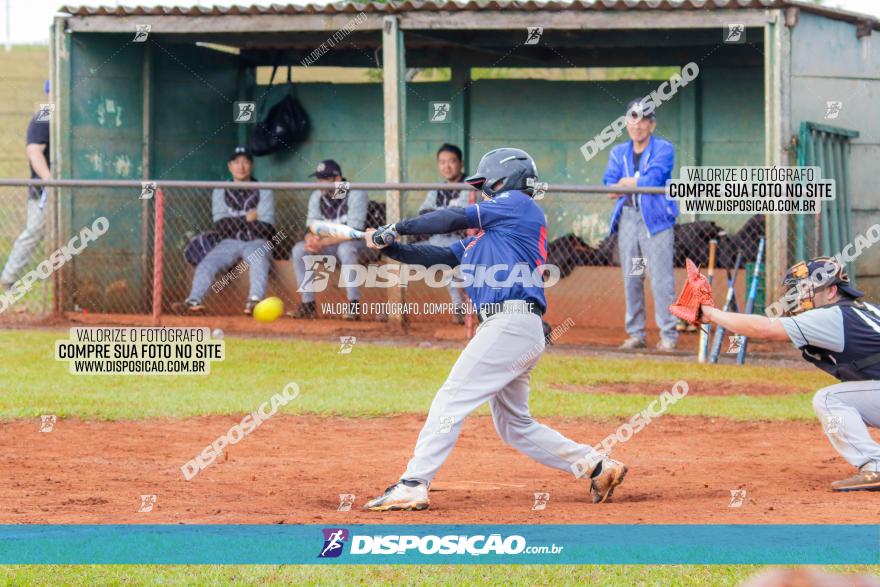 XXXII Brasileirão de Softbol