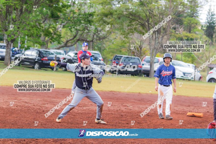 XXXII Brasileirão de Softbol