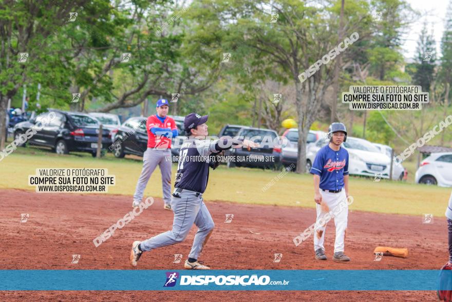 XXXII Brasileirão de Softbol