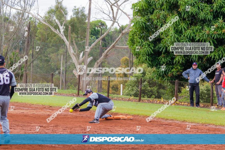 XXXII Brasileirão de Softbol