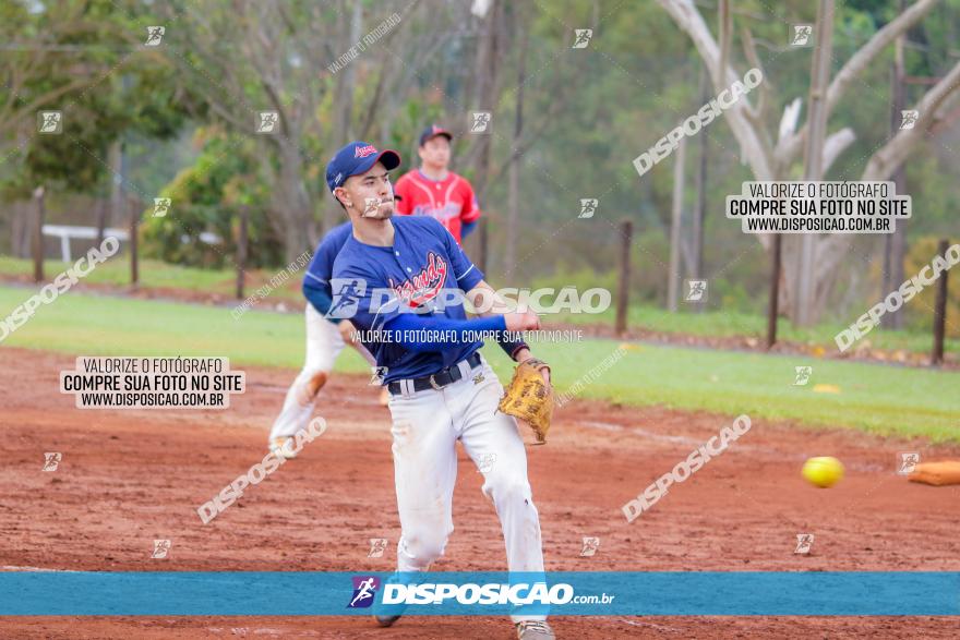 XXXII Brasileirão de Softbol