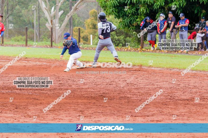 XXXII Brasileirão de Softbol