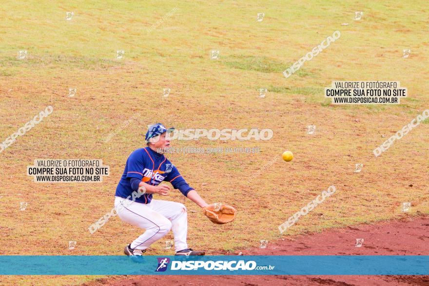 XXXII Brasileirão de Softbol