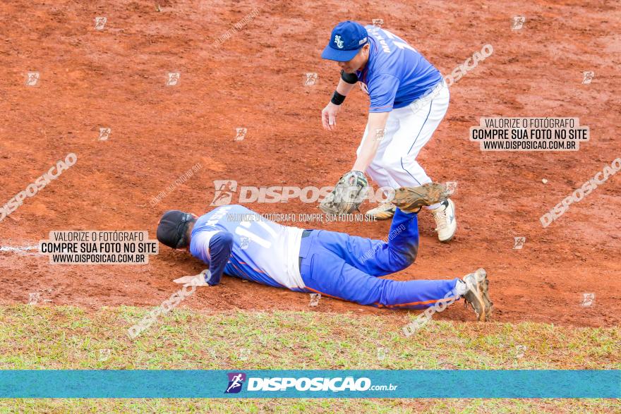 XXXII Brasileirão de Softbol