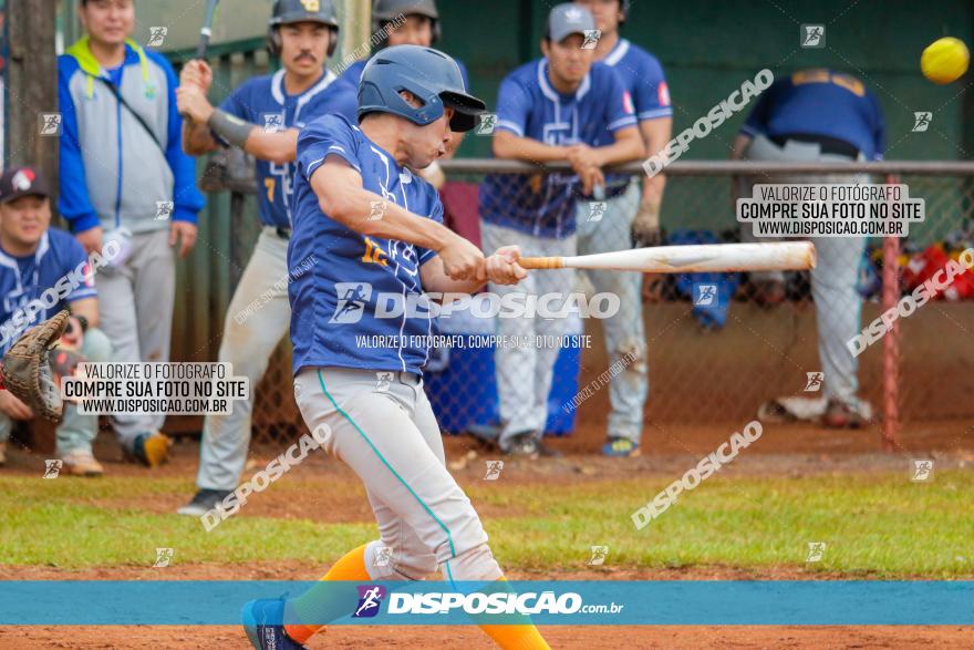 XXXII Brasileirão de Softbol