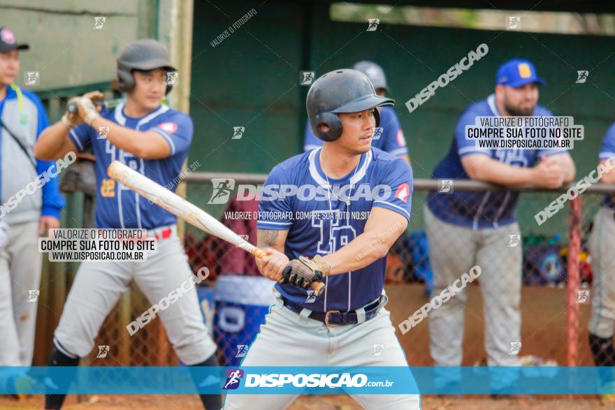 XXXII Brasileirão de Softbol