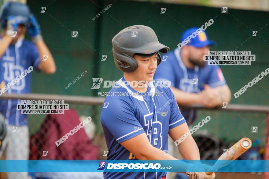 XXXII Brasileirão de Softbol