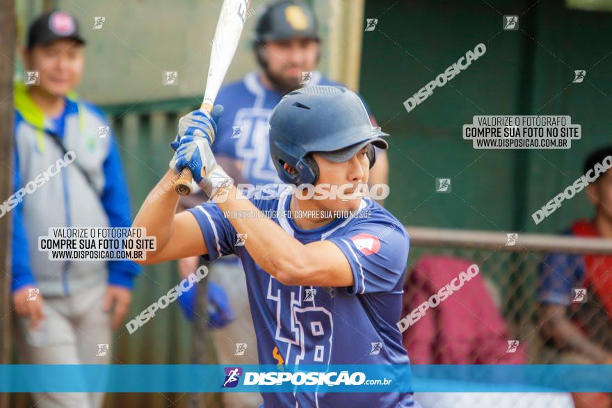 XXXII Brasileirão de Softbol