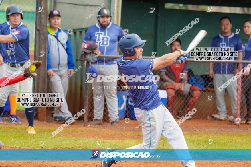 XXXII Brasileirão de Softbol