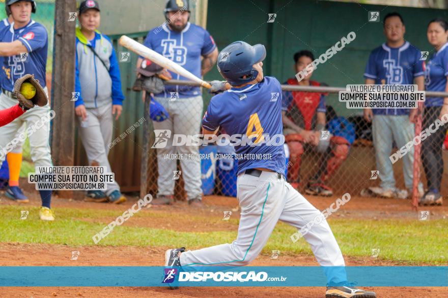 XXXII Brasileirão de Softbol