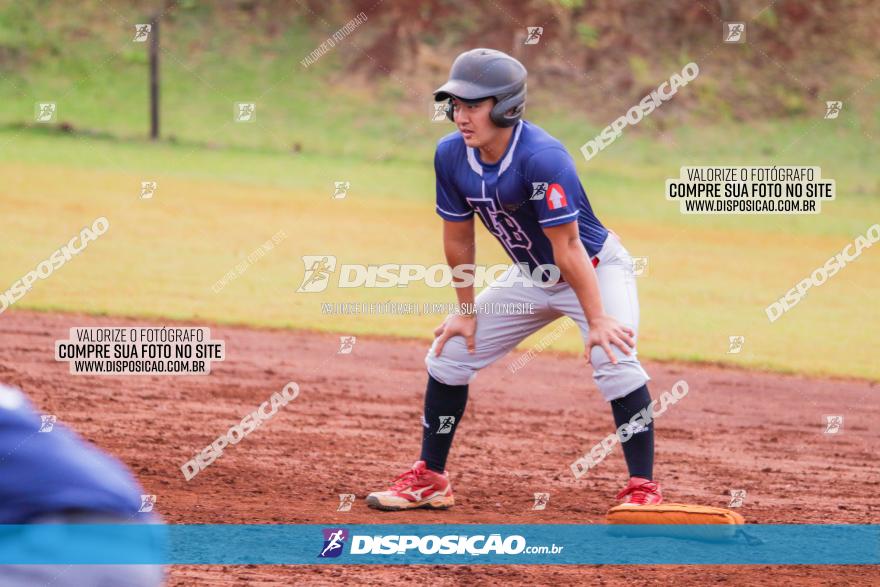 XXXII Brasileirão de Softbol