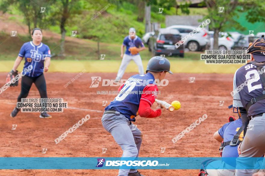 XXXII Brasileirão de Softbol