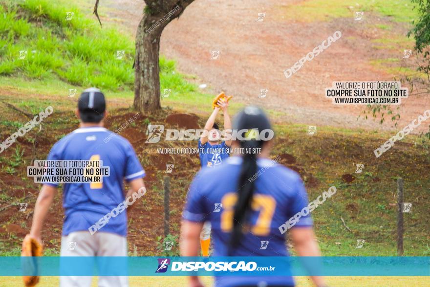 XXXII Brasileirão de Softbol