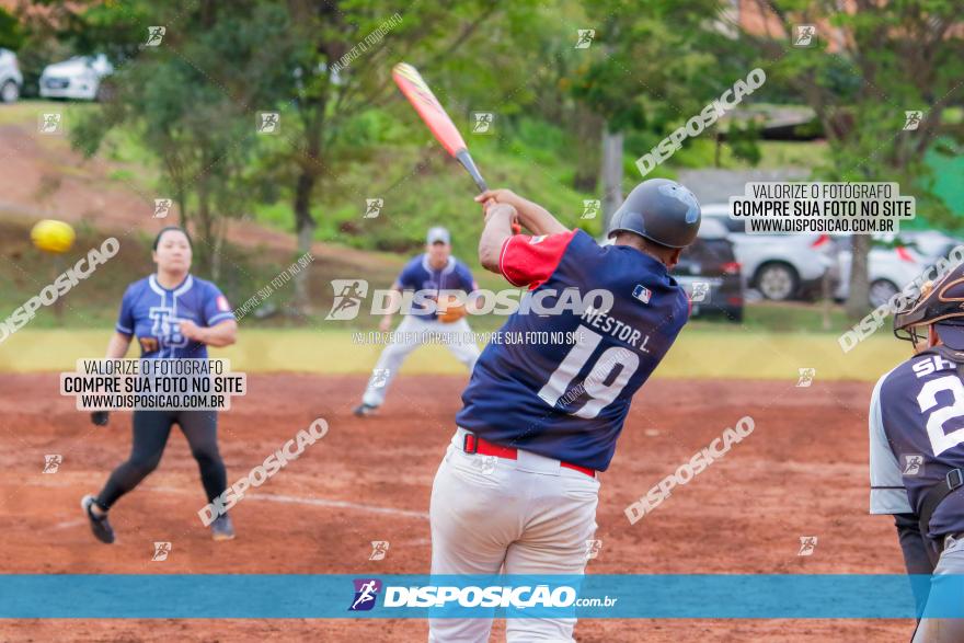 XXXII Brasileirão de Softbol