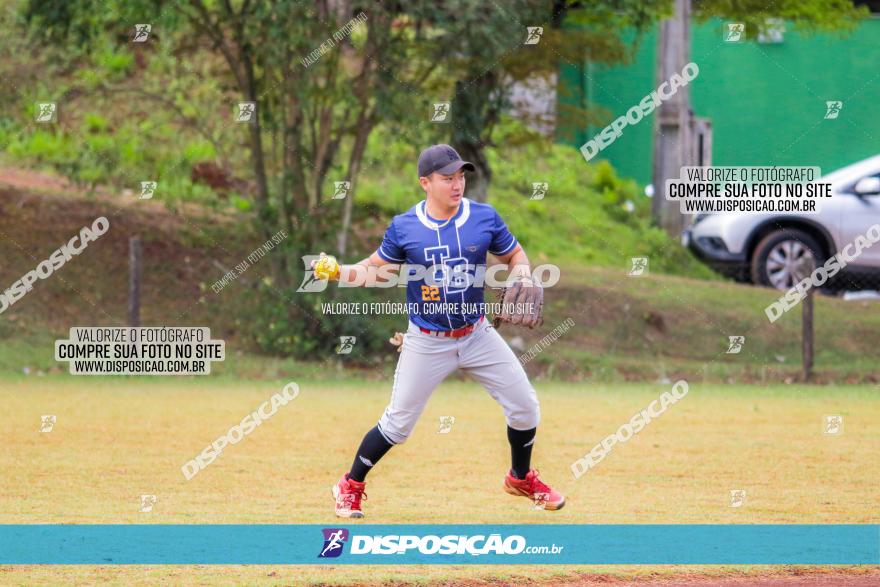 XXXII Brasileirão de Softbol