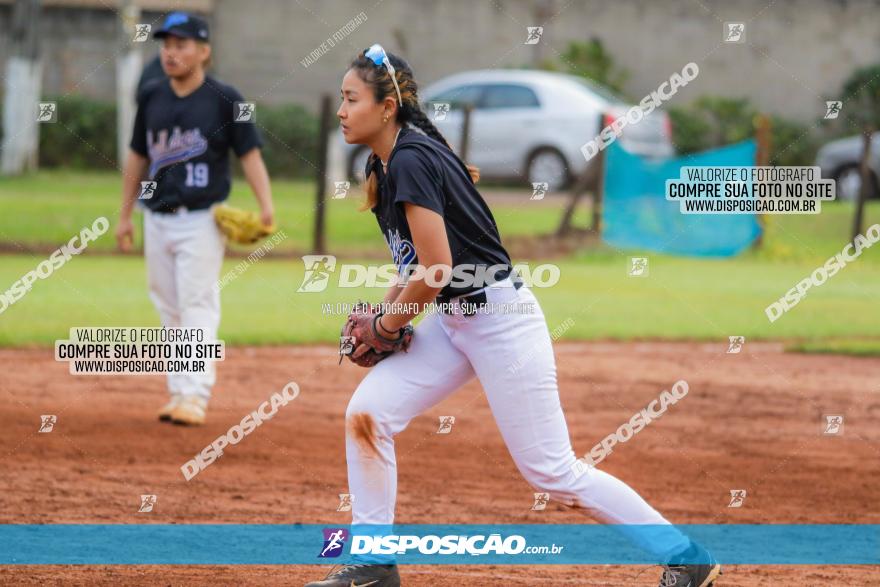 XXXII Brasileirão de Softbol