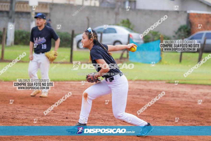 XXXII Brasileirão de Softbol