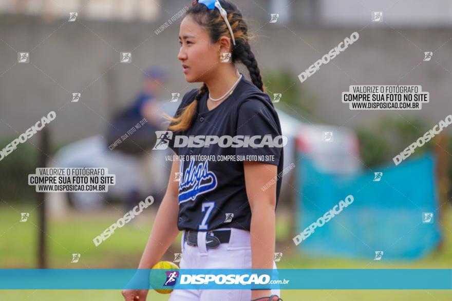 XXXII Brasileirão de Softbol