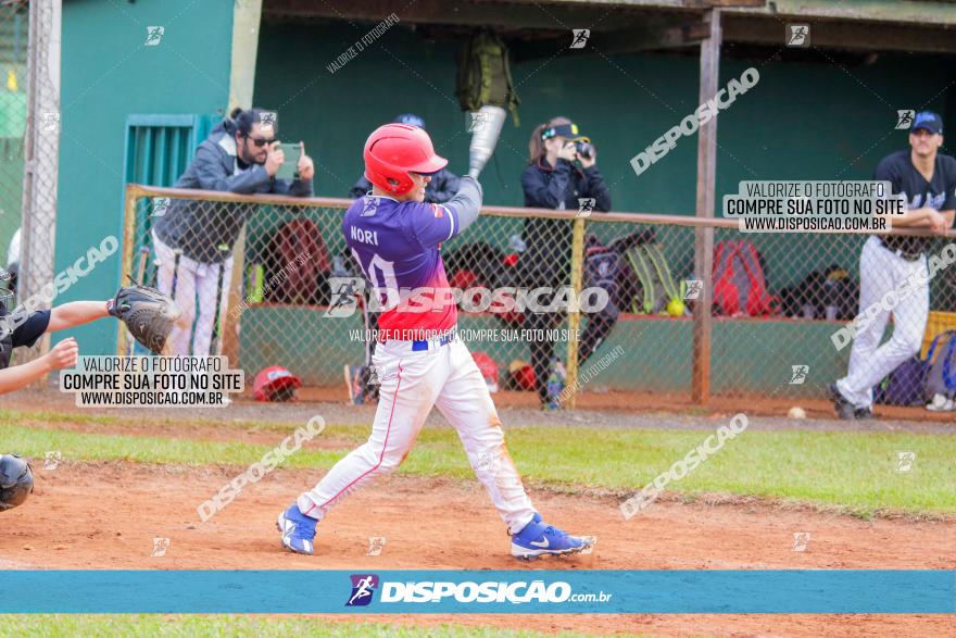 XXXII Brasileirão de Softbol