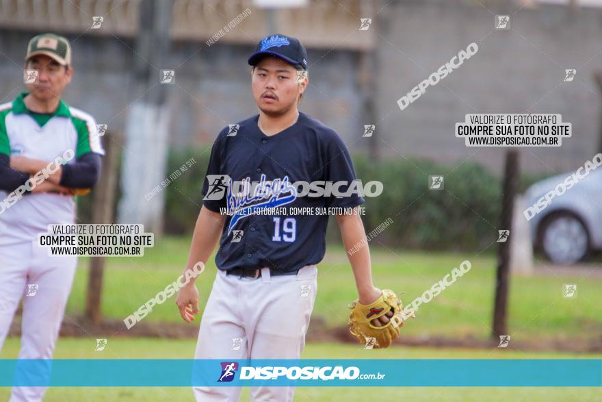 XXXII Brasileirão de Softbol